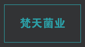 食品行業普洱沖鋒衣設計款式